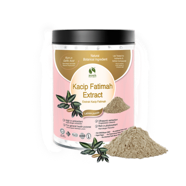 Kacip Fatimah (Labisia pumila) Extract Powder