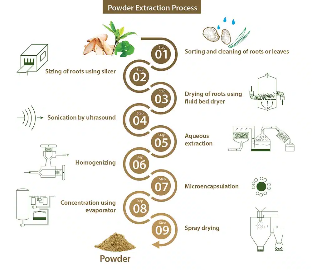 Tea Polyphenols Powder Product Process Tea Polyphenols Powder Product Process