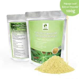 Papaya Leaf (Carica papaya) Standardized Extract Powder - 100g