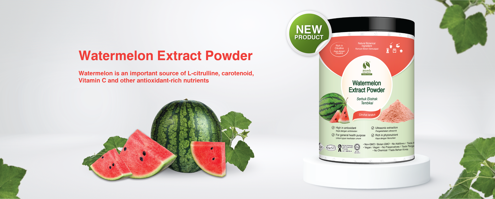 Watermelon Extract-01