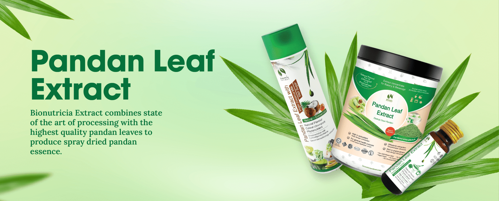 Pandan Leaf Extract Updated 1_Banner 1_Banner 1_Banner 1_Banner 1_Banner 1