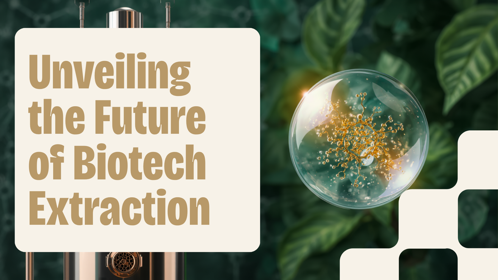 World-class biotech extraction facility — botanical molecule, stainless-steel extraction reactor, and patented liposomal encapsulation