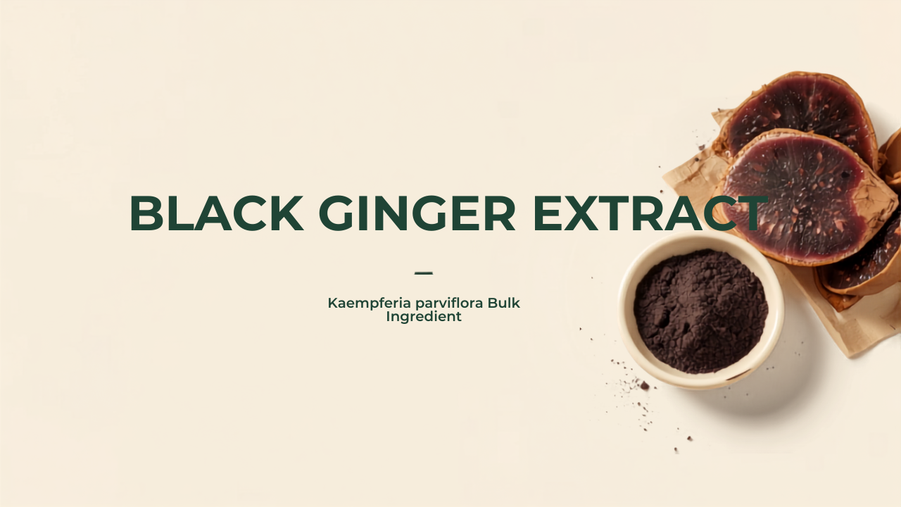 Black Ginger Extract — Kaempferia parviflora Bulk Ingredient
