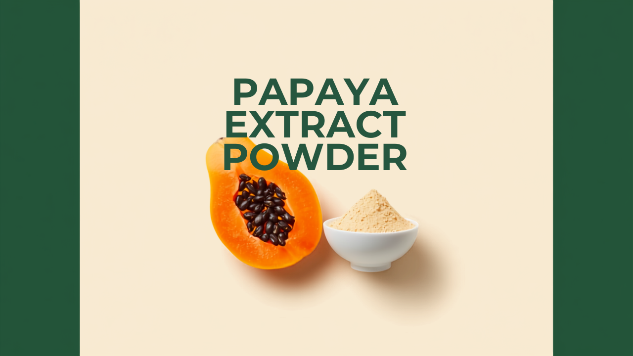 Papaya Extract Powder — Papain-Rich Bulk Ingredient