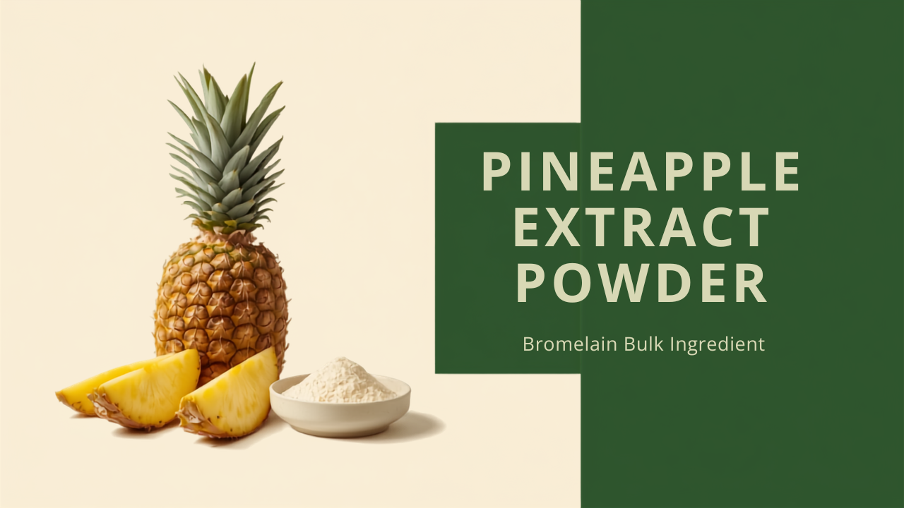 Pineapple Extract Powder — Bromelain Bulk Ingredient