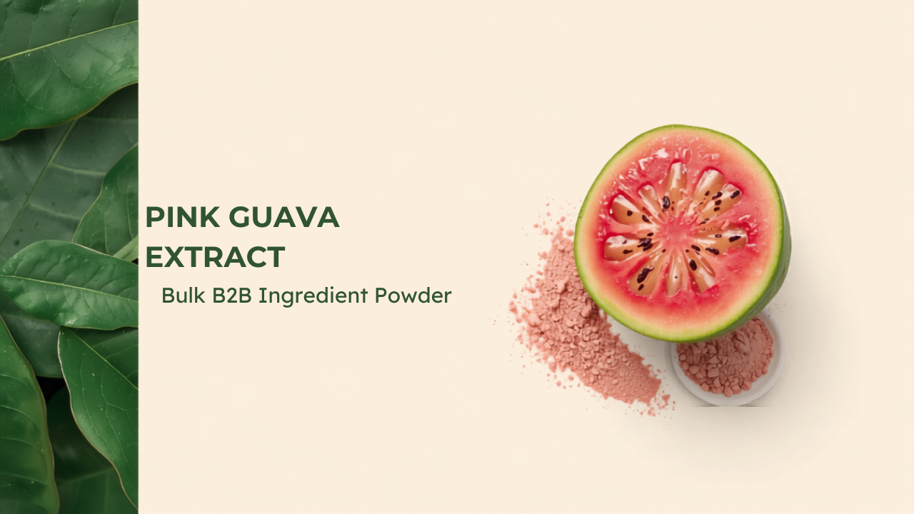 Pink Guava Extract Powder — Bulk B2B Ingredient