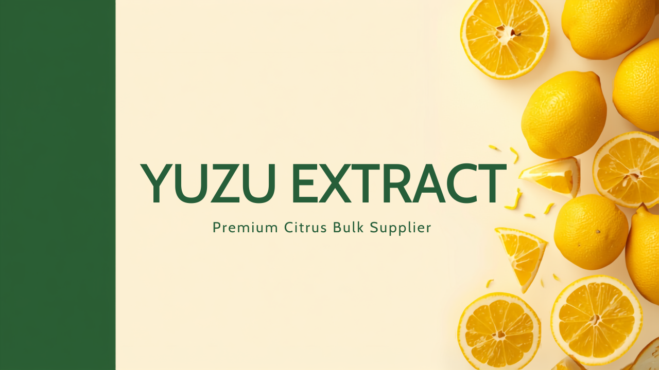 Yuzu Extract — Premium Citrus Bulk Supplier