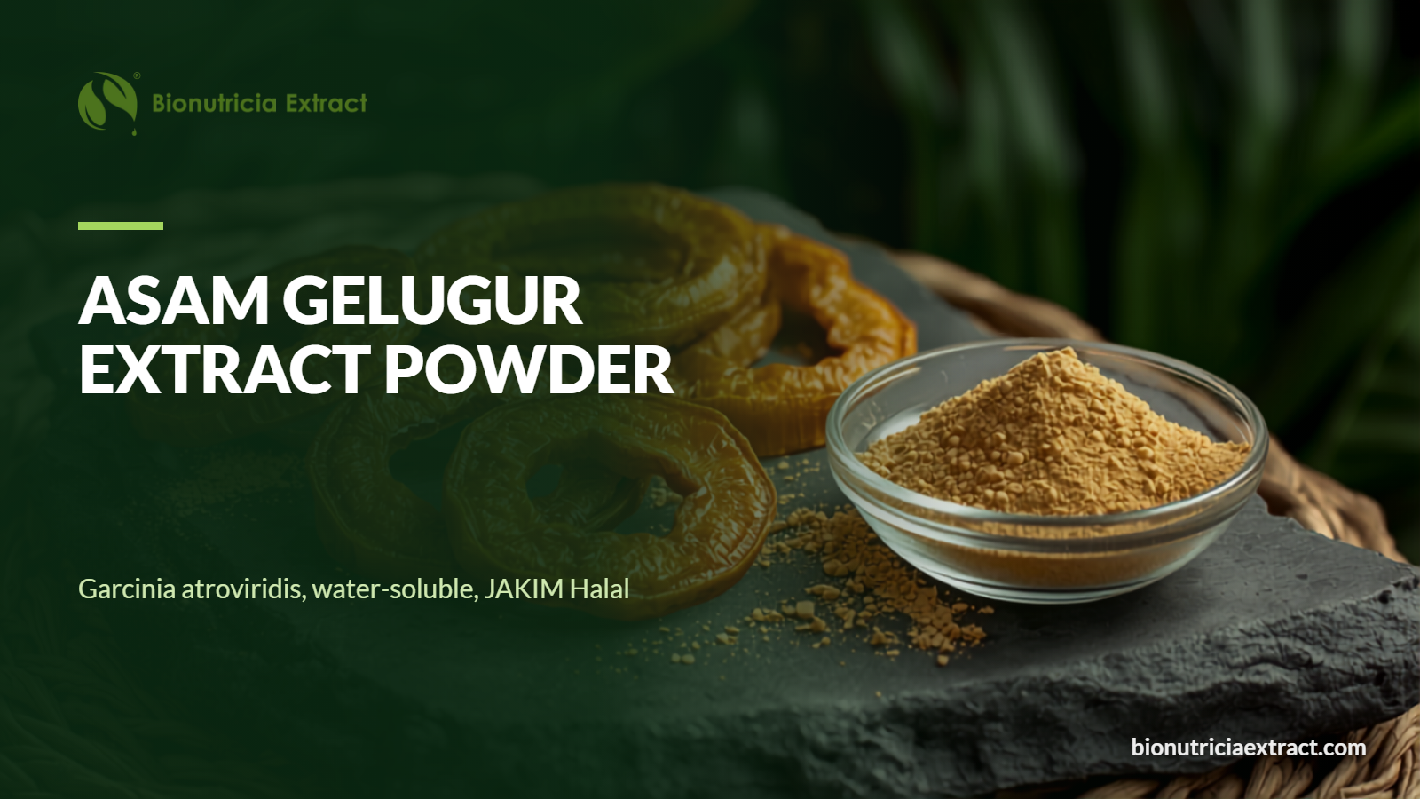 Asam gelugur Garcinia atroviridis extract powder bulk