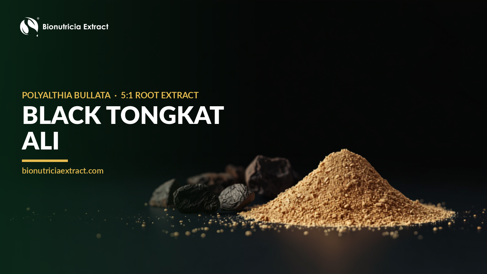 Black tongkat ali (Polyalthia bullata) root extract powder — Bionutricia Extract
