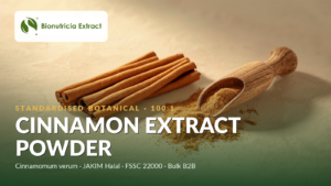 Cinnamon extract powder and cinnamon bark quills, Bionutricia Extract bulk B2B ingredient