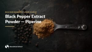 Black peppercorns and light brown black pepper extract powder on a steel spoon, dark slate background