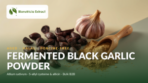 Fermented black garlic bulb, cloves and powder, Bionutricia Extract bulk B2B ingredient
