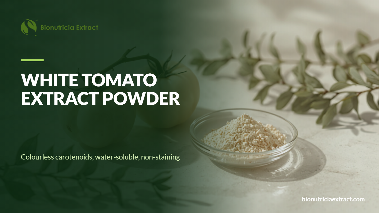 White tomato extract powder bulk ingredient