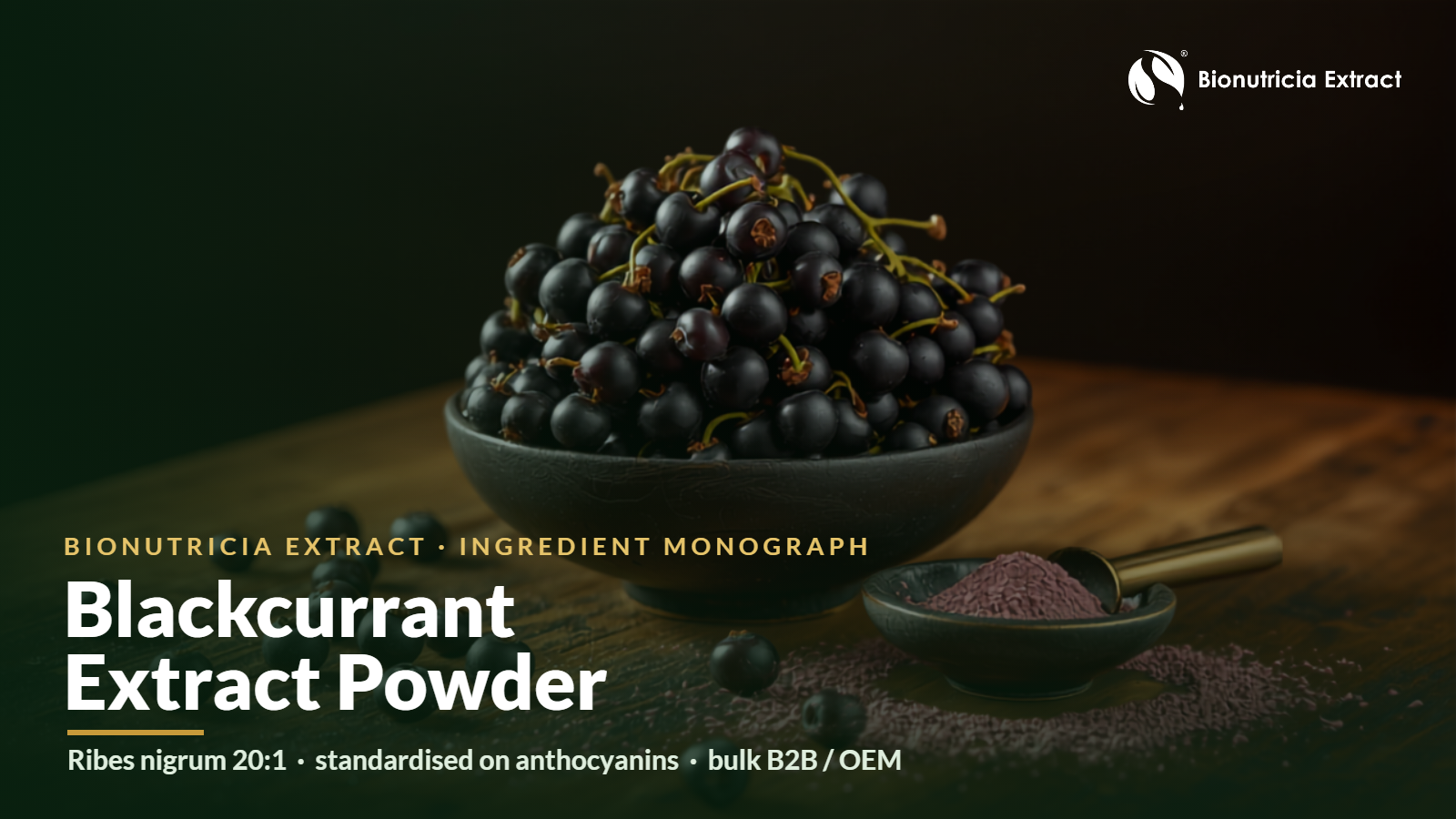 Blackcurrant (Ribes nigrum) extract powder bulk ingredient cover