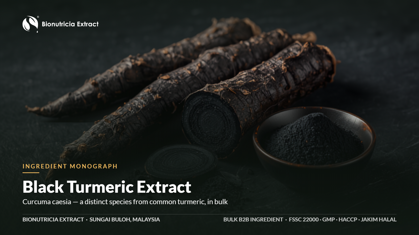 Black turmeric Curcuma caesia extract powder bulk ingredient