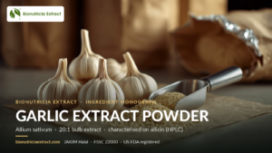 Garlic (Allium sativum) extract powder bulk B2B ingredient