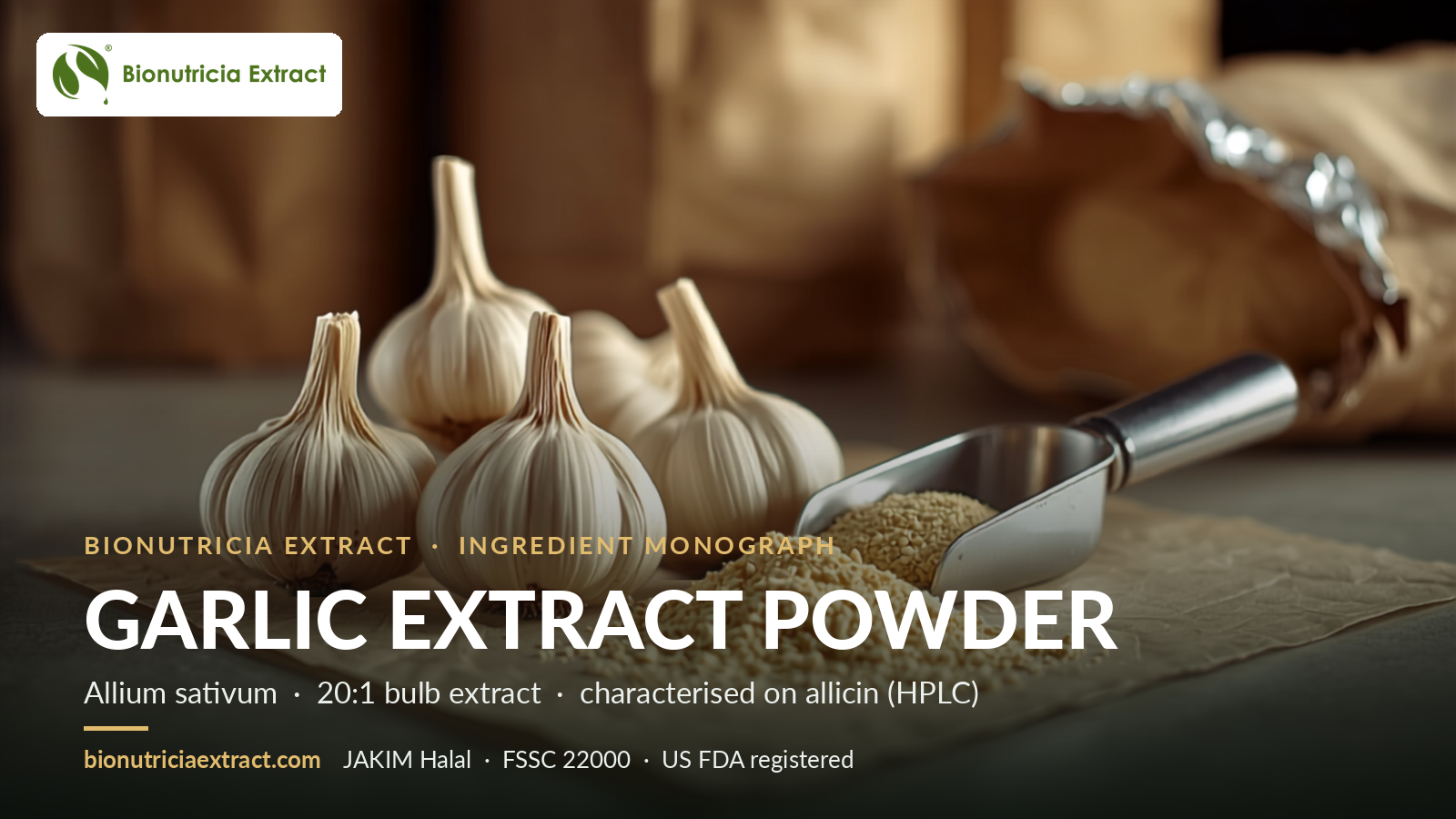 Garlic (Allium sativum) extract powder bulk B2B ingredient