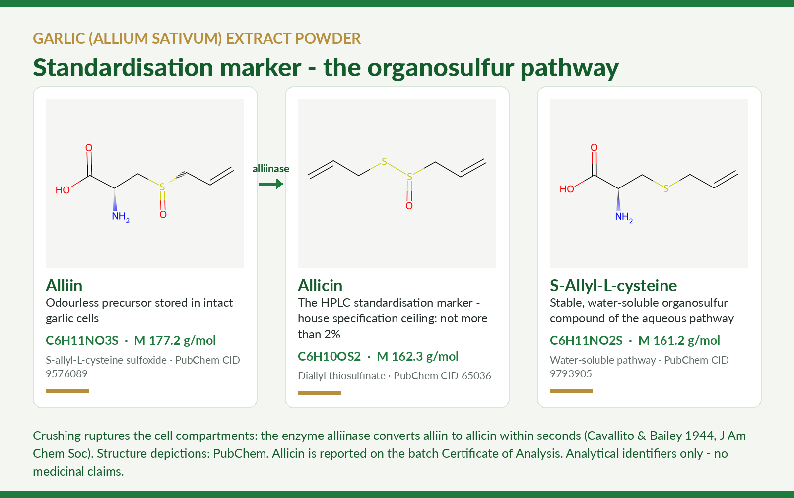 Molecular structures of alliin, allicin and S-allylcysteine, the key garlic organosulfur compounds