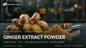 Bionutricia Extract ginger (Zingiber officinale) standardised extract powder — bulk B2B supplier
