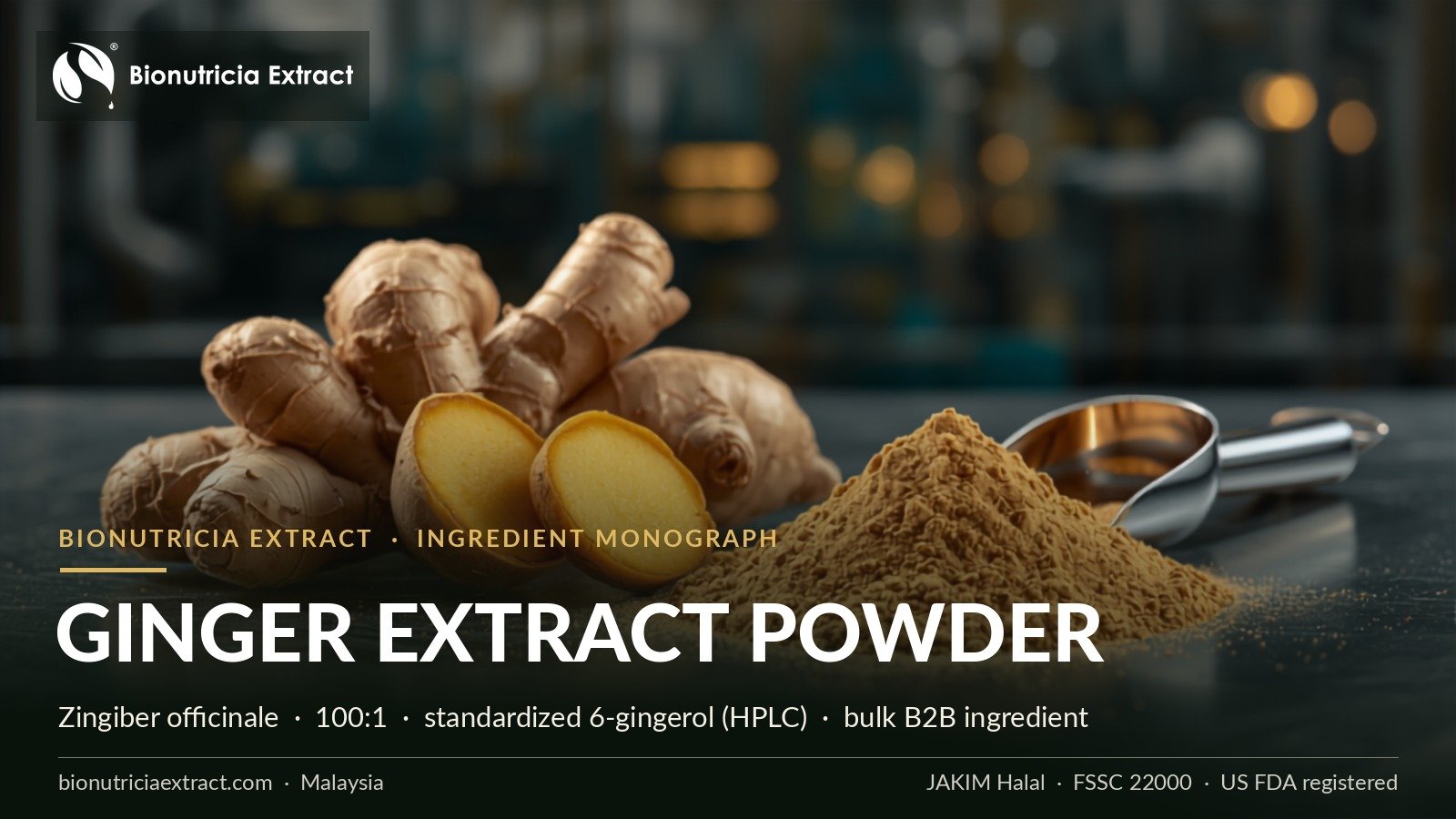 Bionutricia Extract ginger (Zingiber officinale) standardised extract powder — bulk B2B supplier