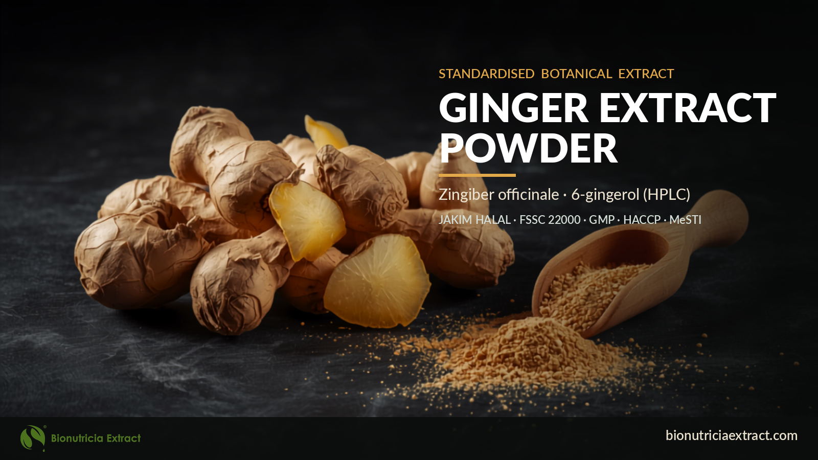 Fresh ginger rhizome with tan ginger extract powder and wooden scoop — Ginger Extract Powder, Zingiber officinale, 6-gingerol HPLC, Bionutricia Extract