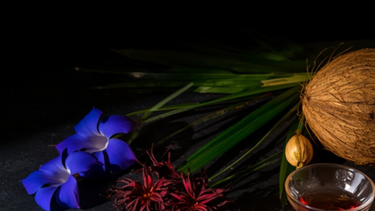 Tropical botanicals butterfly pea, pandan, roselle and coconut with natural extract on dark slate