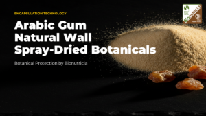 Golden-cream arabic gum powder and raw acacia gum resin nodules on a dark stone surface