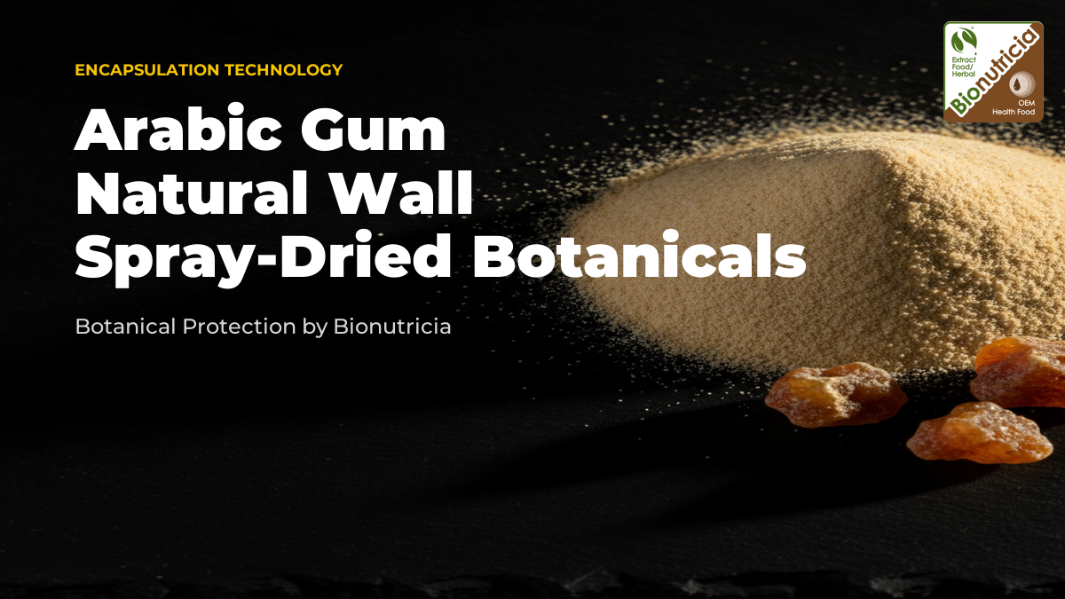 Golden-cream arabic gum powder and raw acacia gum resin nodules on a dark stone surface