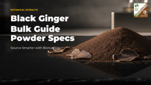 Black Ginger Extract Powder – Bulk B2B Buyer’s Guide hero image