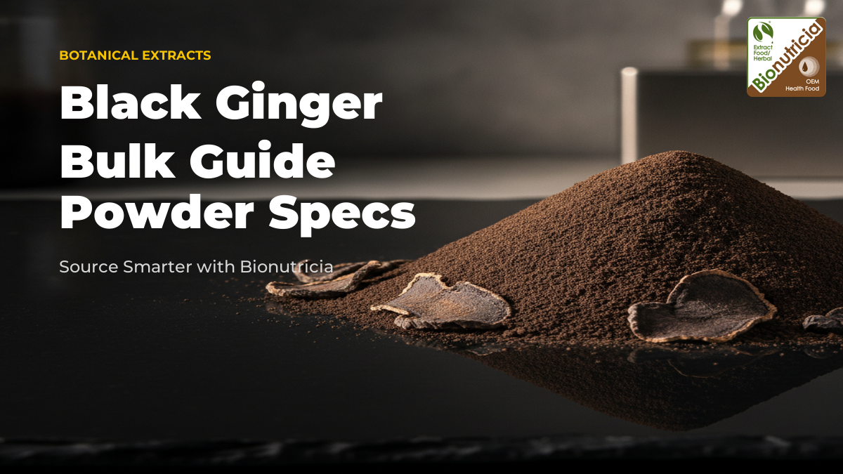 Black Ginger Extract Powder – Bulk B2B Buyer’s Guide hero image