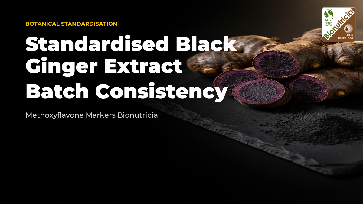 Black ginger rhizomes with deep purple flesh and brown extract powder on a dark stone surface