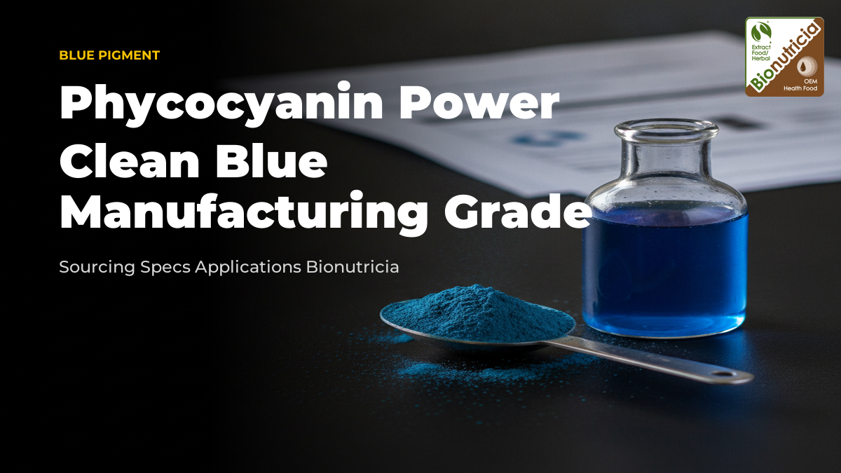 Beaker of vivid blue phycocyanin solution and scoop of blue spirulina powder on a lab bench, editorial article hero