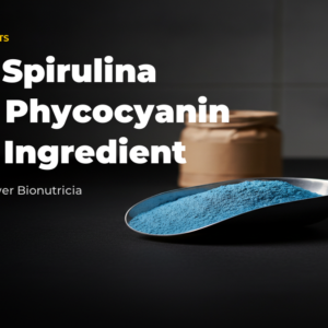 Stainless-steel scoop of vivid blue phycocyanin powder with lined drum in soft-focus background, editorial B2B ingredient context