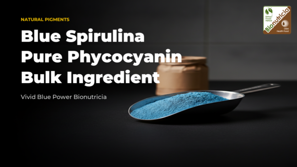 Stainless-steel scoop of vivid blue phycocyanin powder with lined drum in soft-focus background, editorial B2B ingredient context