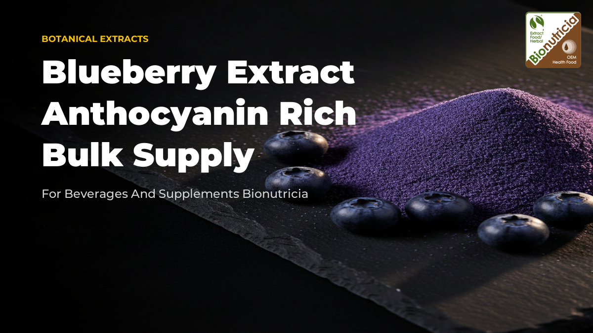 Blueberry extract powder with fresh blueberries on a dark slate surface — bulk B2B anthocyanin ingredient