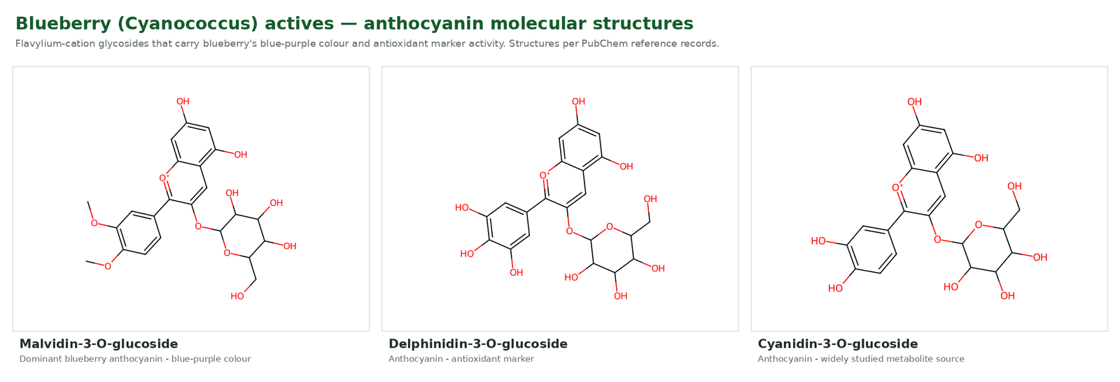 Chemical structures of blueberry anthocyanins: malvidin-3-O-glucoside, delphinidin-3-O-glucoside and cyanidin-3-O-glucoside (Cyanococcus)