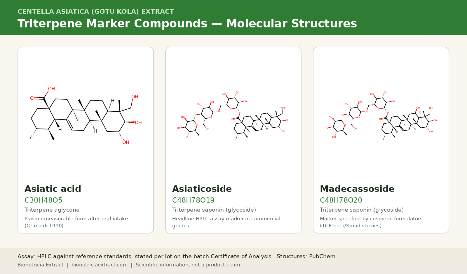 Molecular structures of asiatic acid, asiaticoside and madecassoside — Centella asiatica triterpenes