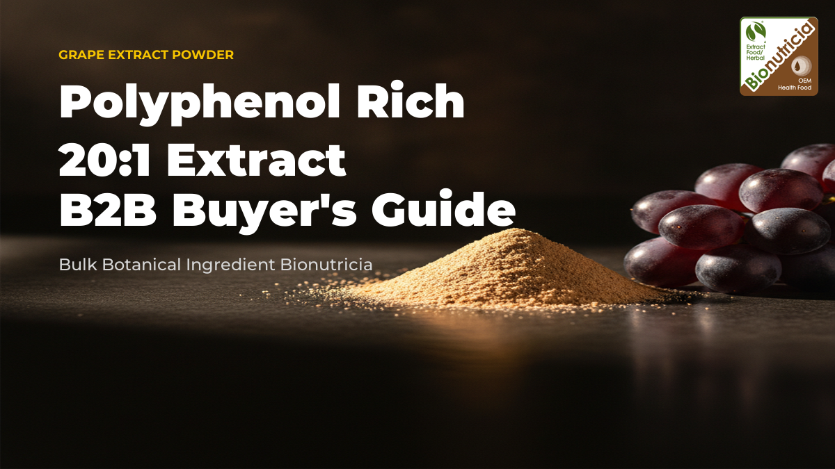 Grape extract powder with fresh grapes on a dark stone surface — bulk B2B polyphenol ingredient