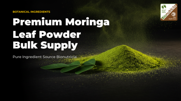 Moringa leaf powder shown as a mound of green powder with fresh leaflets on a dark surface