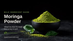 Vivid green moringa leaf powder heaped in a dark ceramic bowl with fresh moringa leaves — bulk moringa powder supplier Malaysia