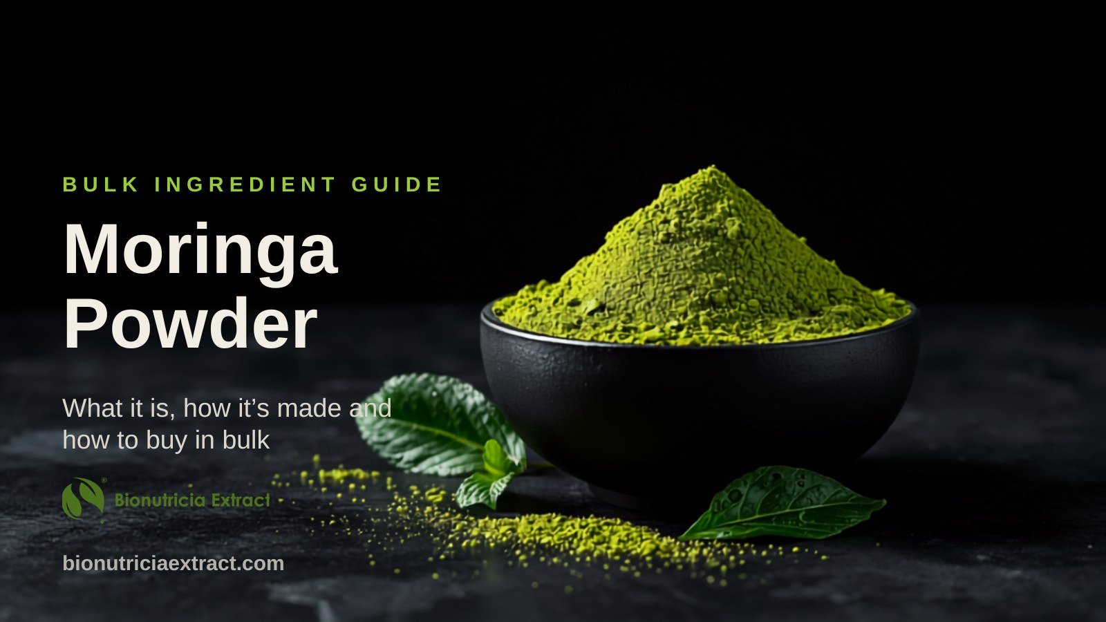 Vivid green moringa leaf powder heaped in a dark ceramic bowl with fresh moringa leaves — bulk moringa powder supplier Malaysia