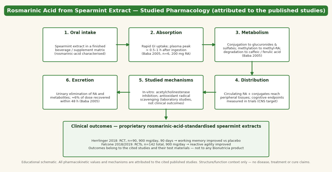 Body pharmacology schematic of rosmarinic acid from spearmint extract — absorption, metabolism, distribution, studied mechanisms and excretion