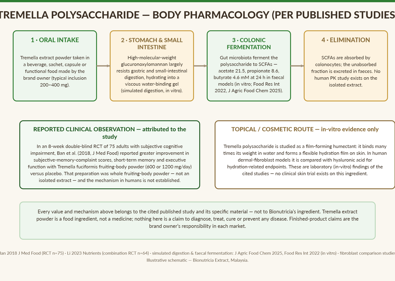 Body pharmacology schematic of tremella polysaccharide: oral intake, resistance to upper-GI digestion, colonic fermentation to short-chain fatty acids, elimination; clinical observation and in-vitro topical route boxes