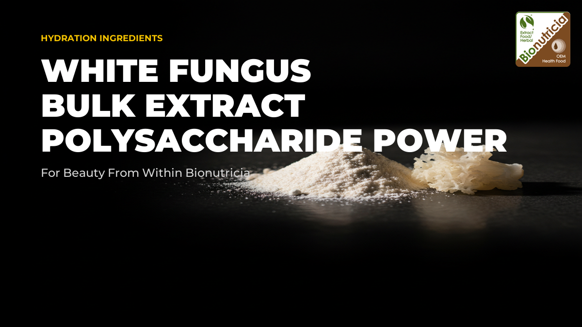 Tremella white fungus extract powder with a delicate fruiting body — bulk B2B polysaccharide ingredient
