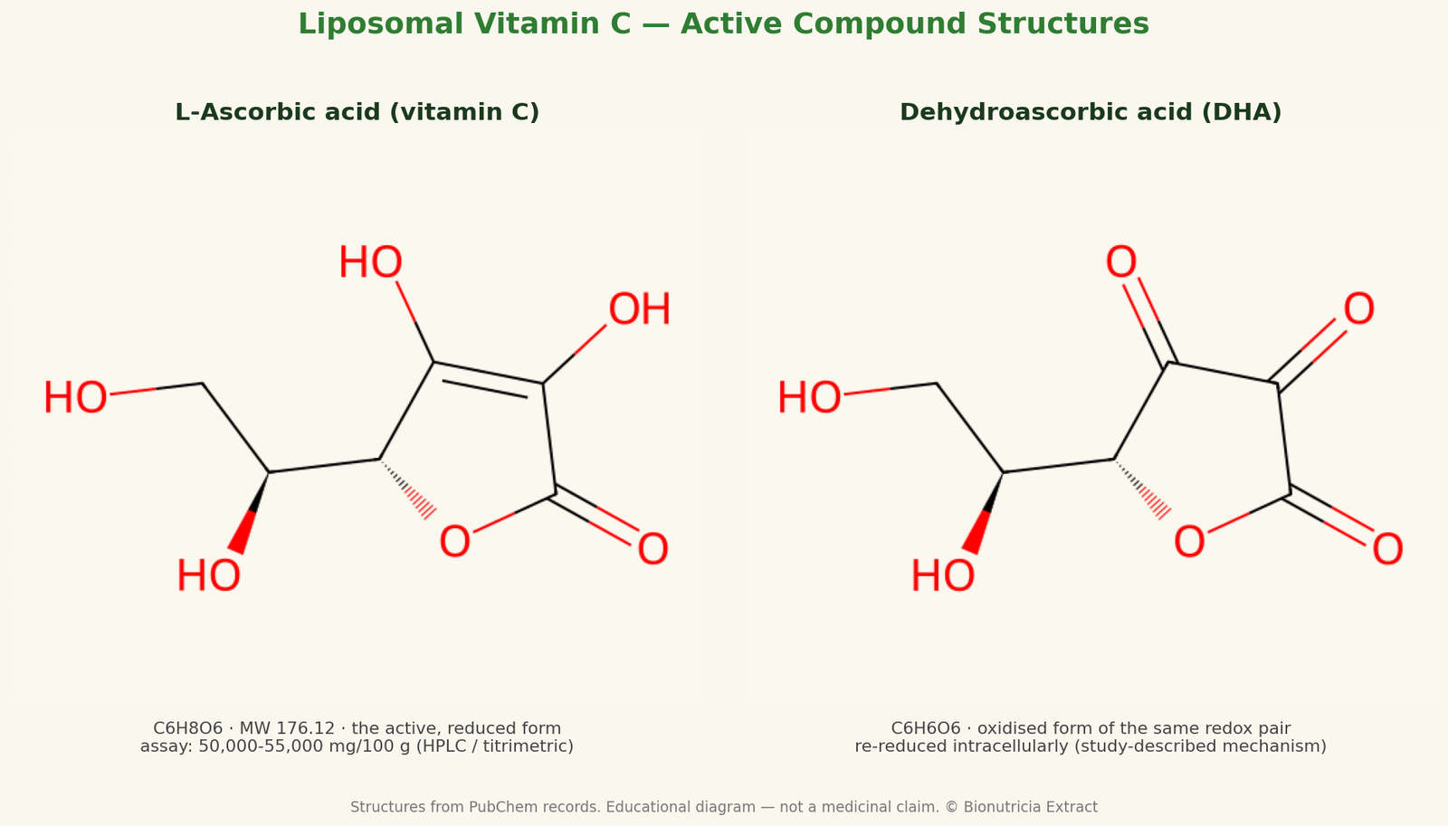 Molecular structures of L-ascorbic acid and dehydroascorbic acid