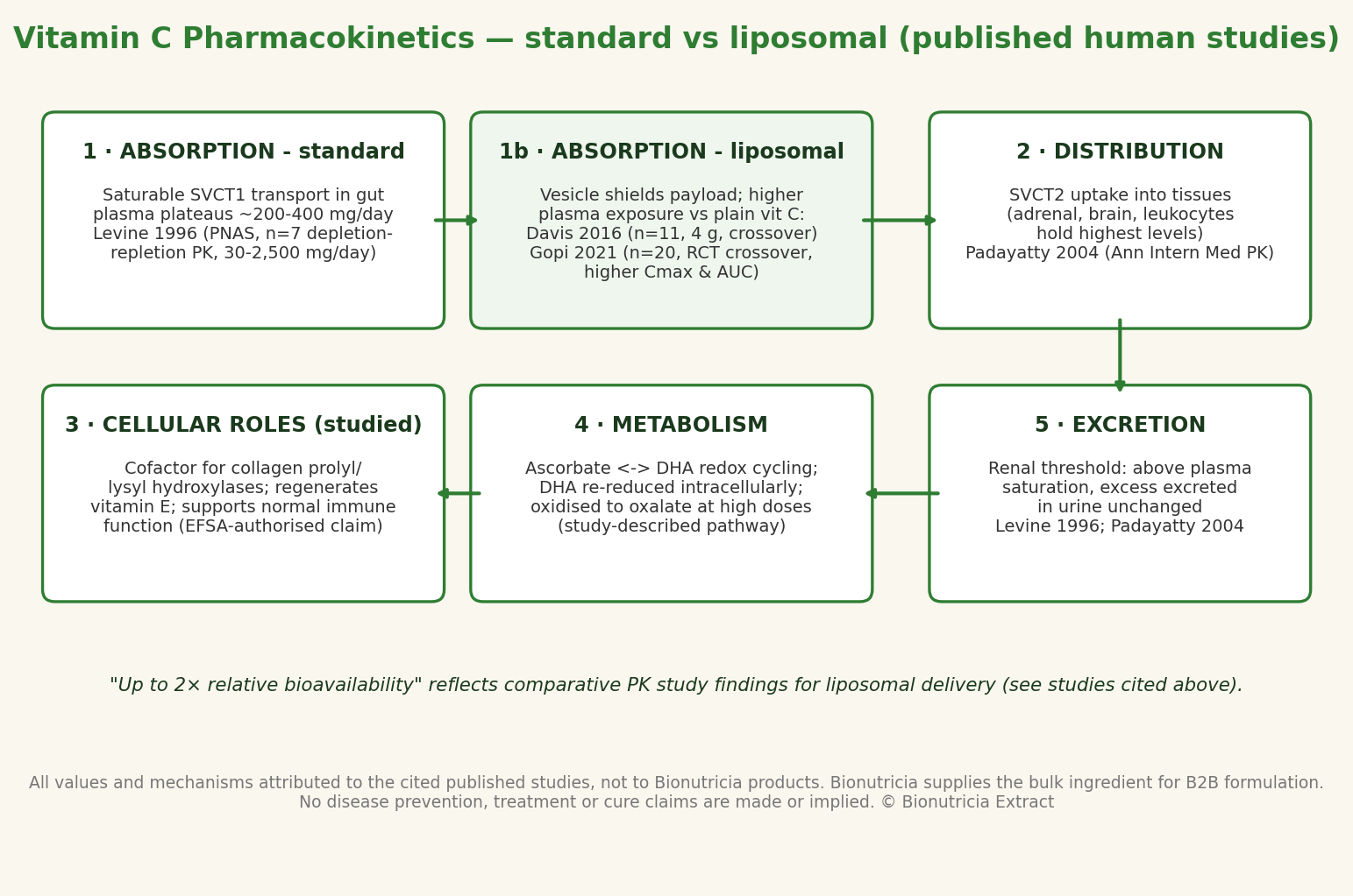 Vitamin C pharmacokinetics diagram — standard vs liposomal absorption, distribution, metabolism and excretion, with cited human studies