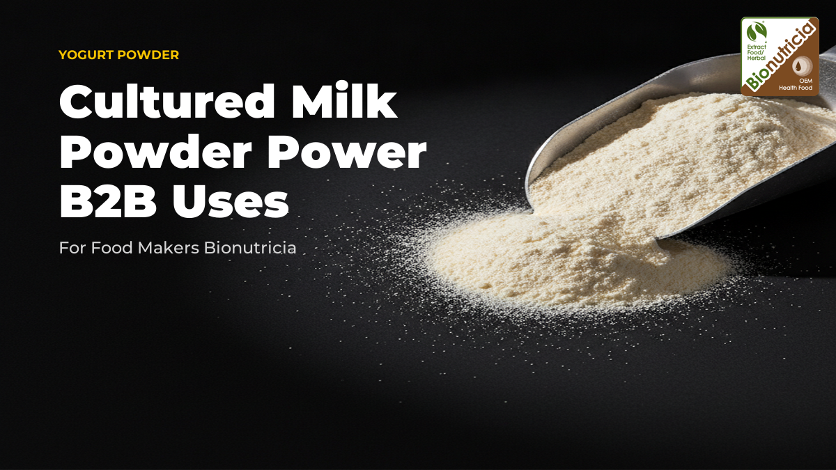 Yogurt powder on a dark surface — bulk B2B spray-dried cultured milk powder