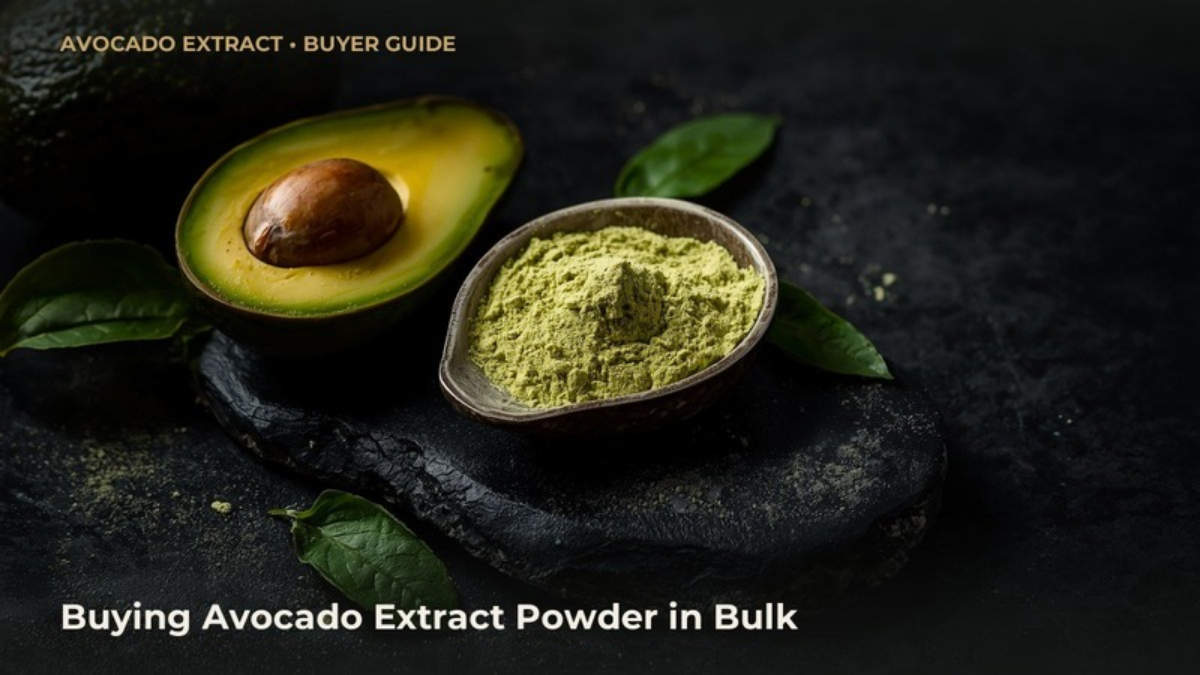 Avocado (Persea americana) fruit extract powder