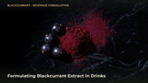 Blackcurrant (Ribes nigrum) fruit standardized extract powder
