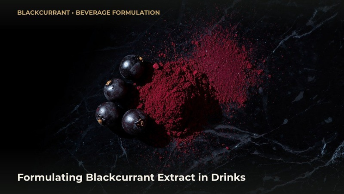 Blackcurrant (Ribes nigrum) fruit standardized extract powder